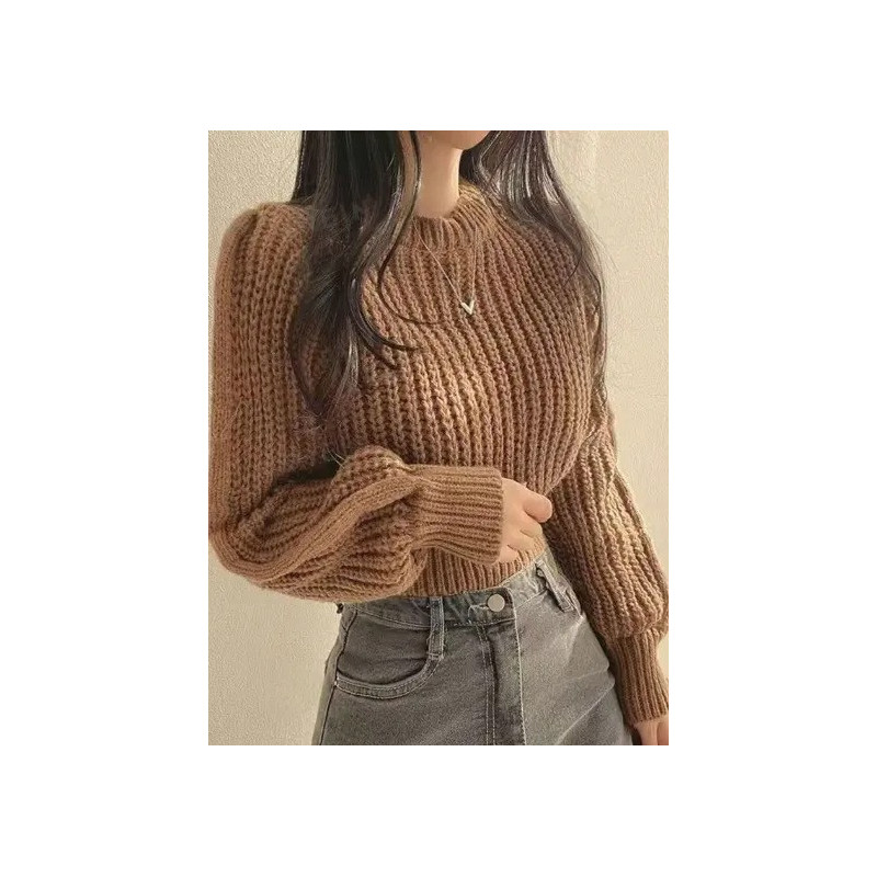 Pulover Casual Maro cu Mâneci Lungi și Decolteu Rotund pentru Femei